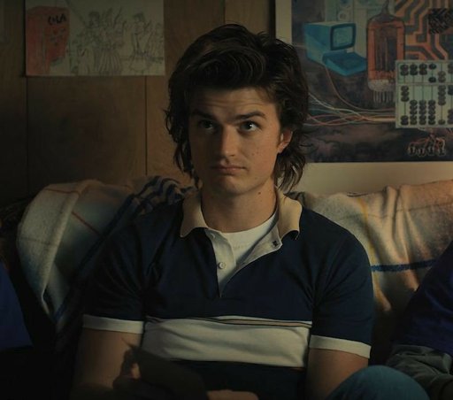 Steve Harrington Info (in My Au.) 