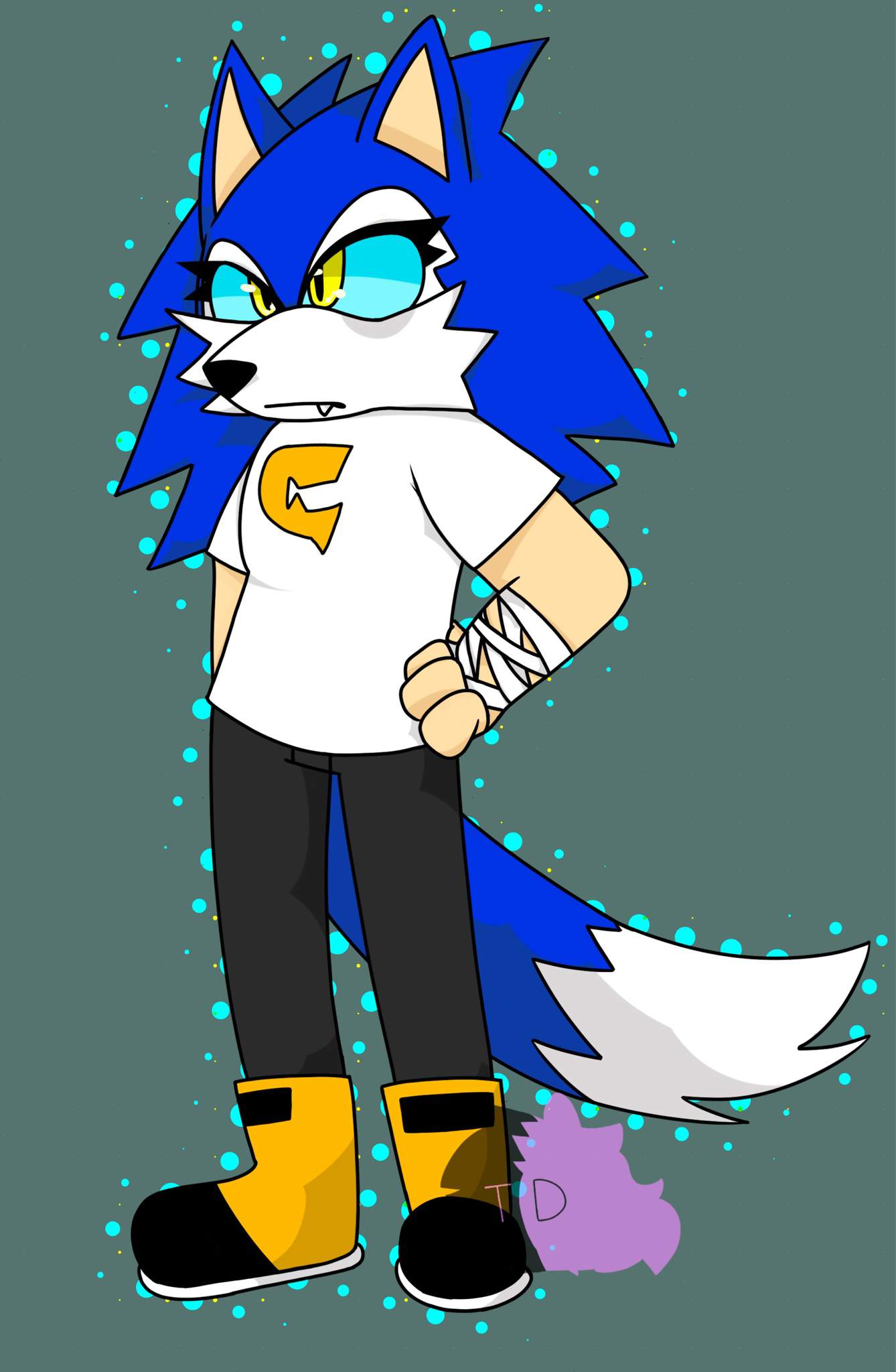 a-new-character-sonic-the-hedgehog-amino