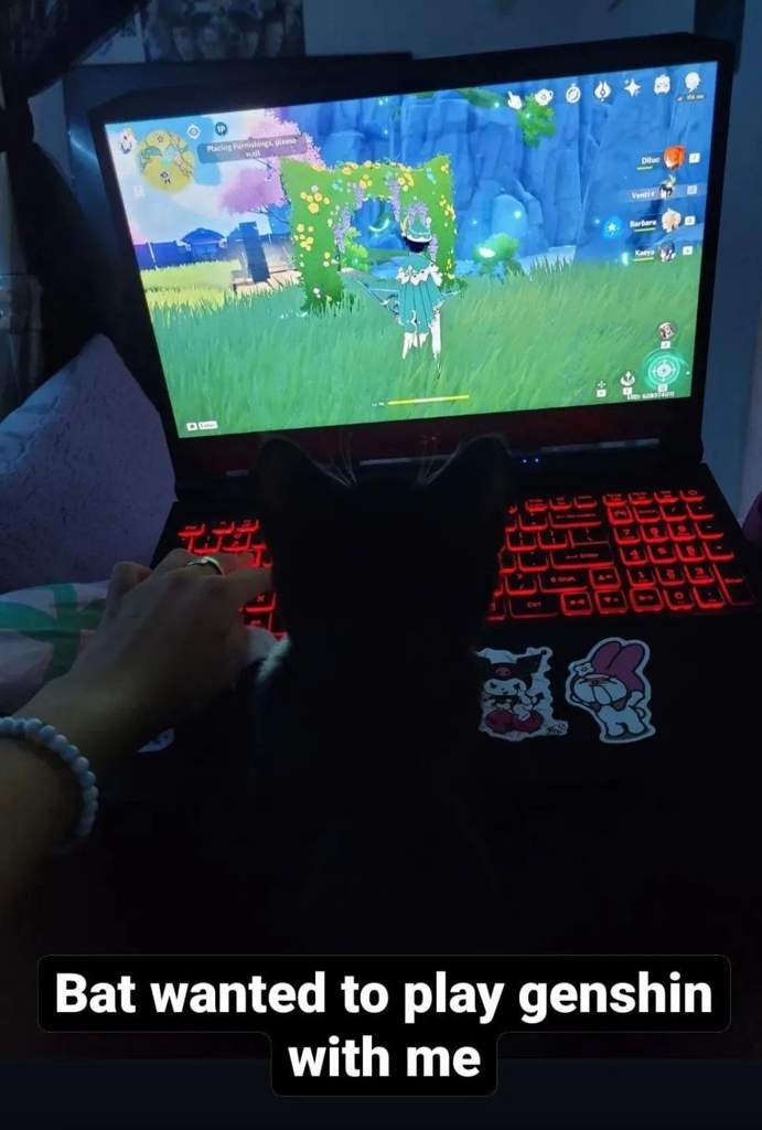 My cat was playing with me!!!!!