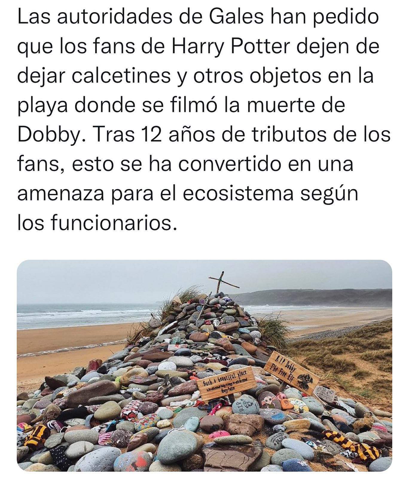 Dobby, El Elfo Libre | •Harry Potter• Español Amino