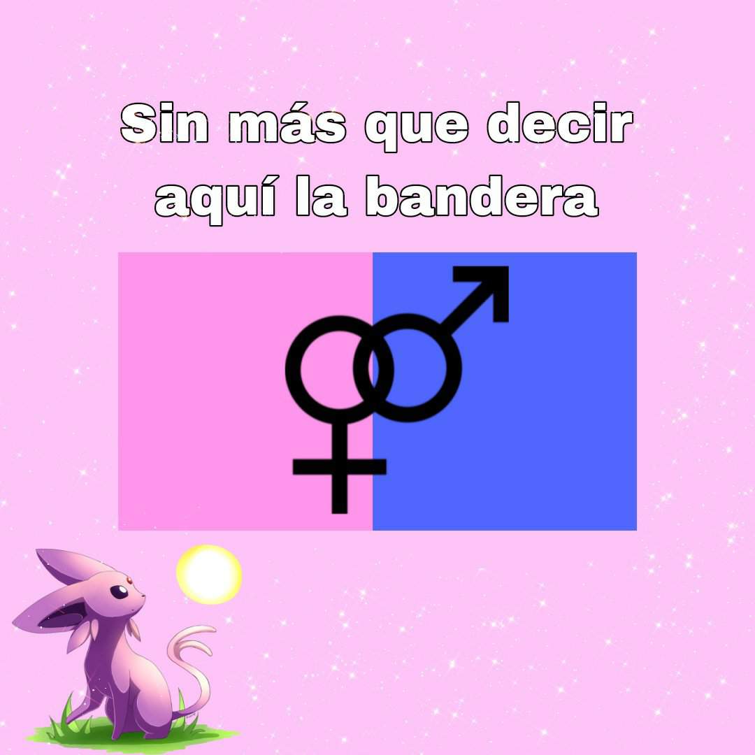 Bandera Hetero No Problemática Wiki Lgbtespañol🏳‍🌈 Amino 