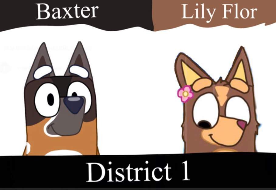 here-is-district-1-bluey-amino