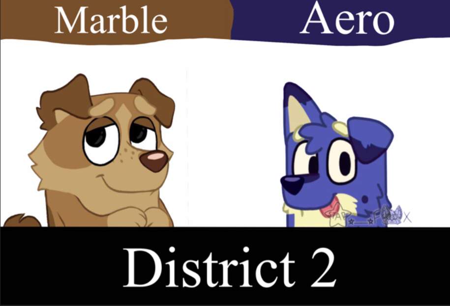 district-2-bluey-amino