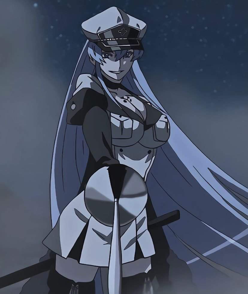 Akame Ga Kill! / Убийца Акаме Amino