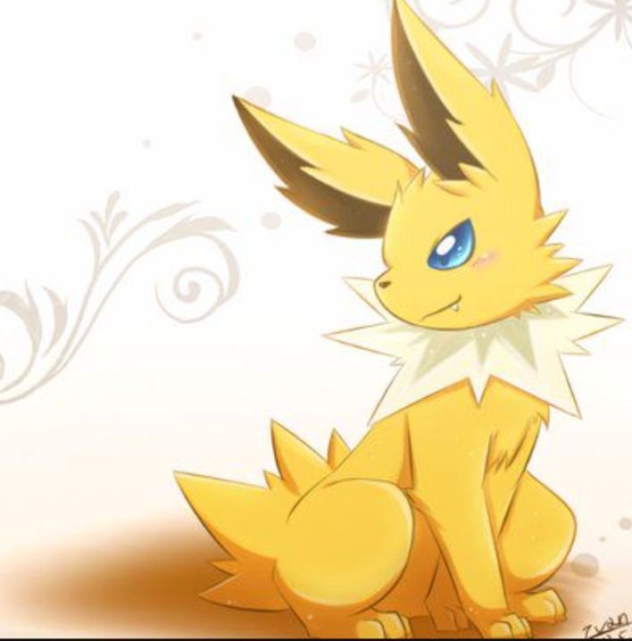 jolty-wiki-eeveelution-squad-amino