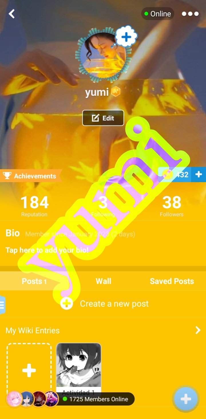 Actividad 2 Wiki 🌟 Roleplay 🌟 Amino