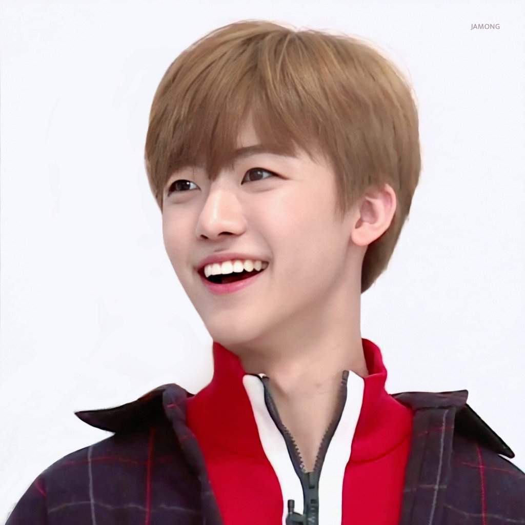 Jaemin Wiki ᴄɪᴛʏ ᴏғ ᴇᴅᴇɴ Amino