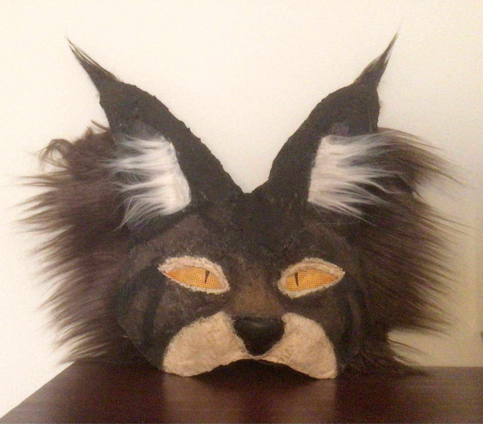 Maine coon mask!! Therian Amino