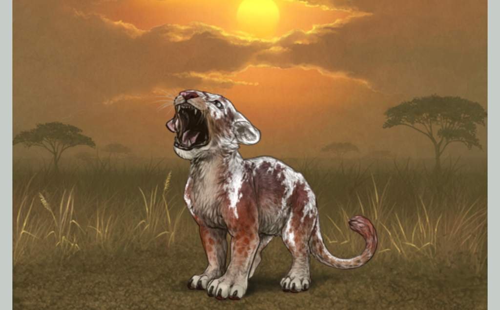 Piebald Cub Lioden 🐾♡ Amino