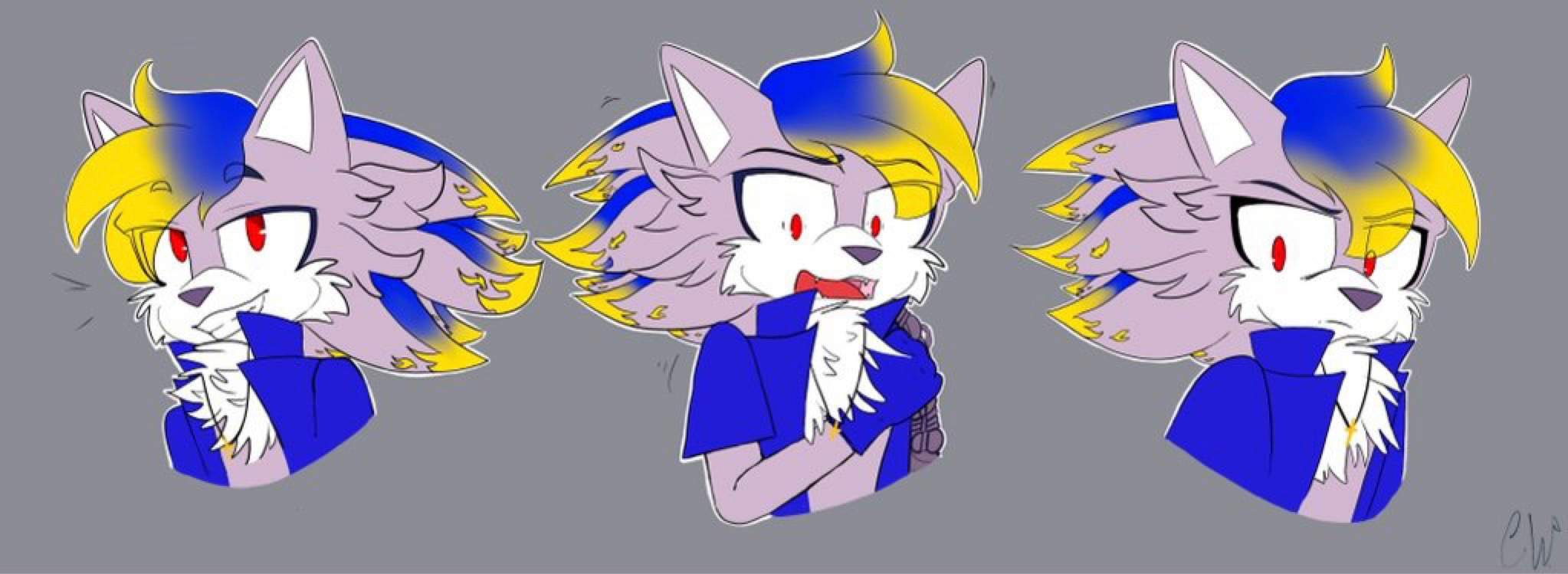 ~facial Expressions~ Sonic The Hedgehog Amino 3348