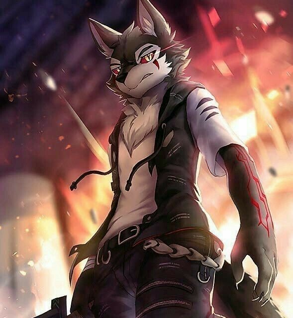 Kiro Wiki Monde Des Furry Rp Amino