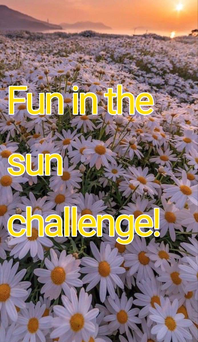 Fun In The Sun Challenge! 