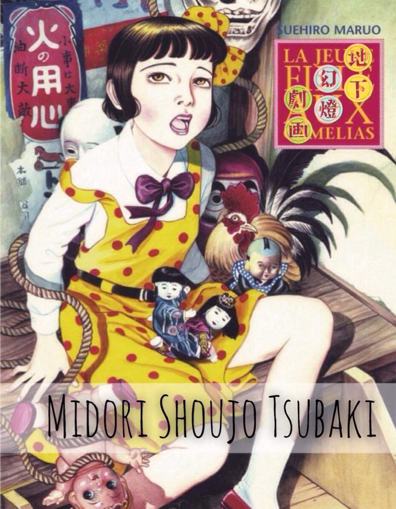 Midori Shoujo Tsubaki Anime Amino