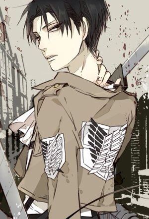 Captin Levi | Wiki | Anime Amino