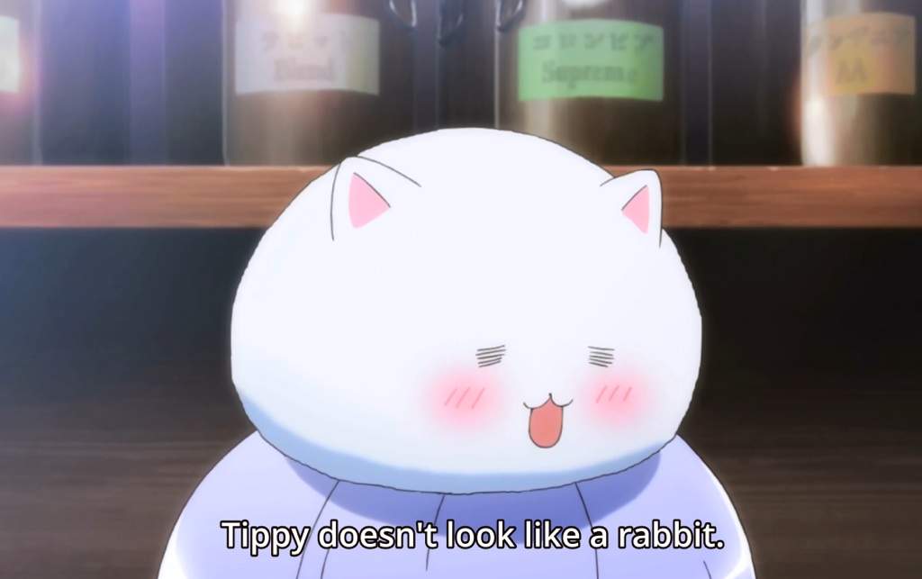 is it order a rabbit download