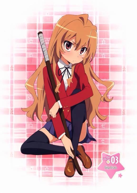 Taiga Aisaka | Wiki | Anime Amino