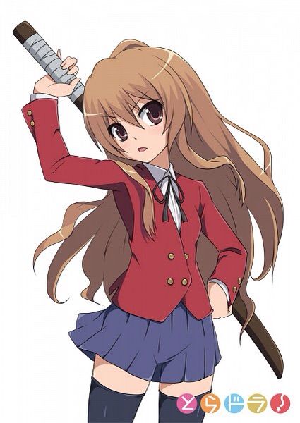 Taiga Aisaka | Wiki | Anime Amino