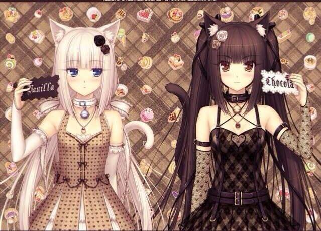 Chocola Or Vanilla | Anime Amino