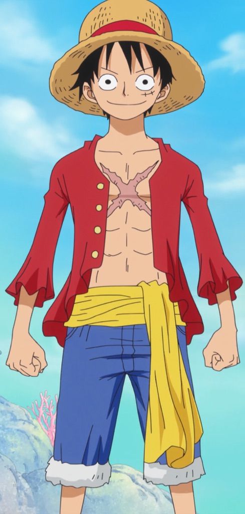 Monkey D. Luffy | Wiki | Anime Amino