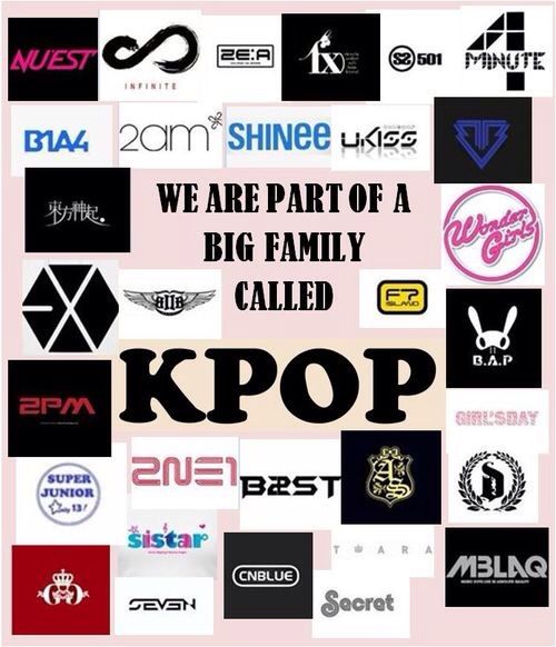 THE FANDOM | K-Pop Amino