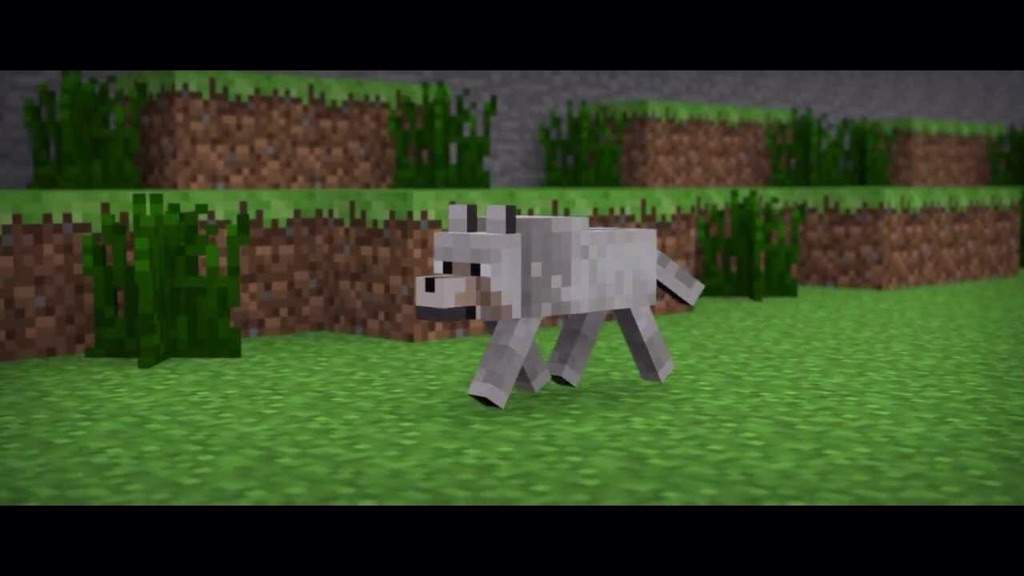 Minecraft Wolf | Wiki | Minecraft Amino