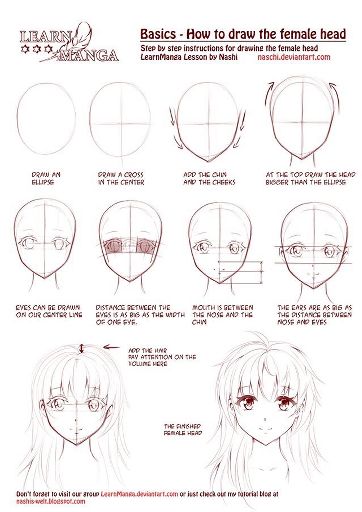 Anime Drawing Guide | Wiki | Anime Amino