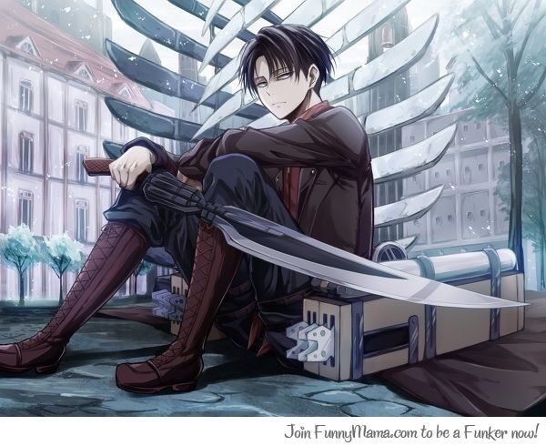 Levi Ackerman is hot yea? | Anime Amino