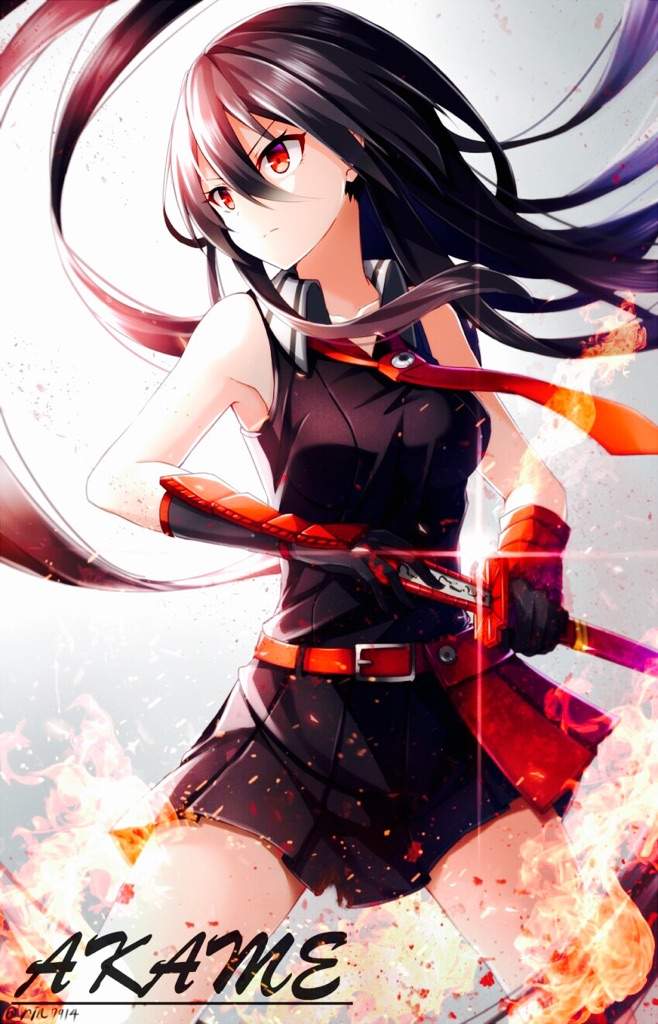 Akame Ga Kill Anime Amino