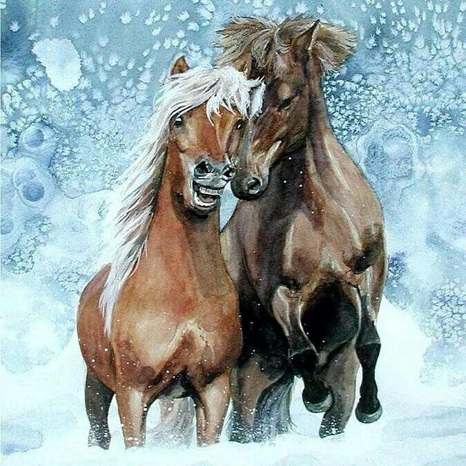 Beautiful horses | Wiki | Anime Amino