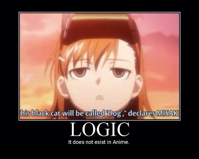 Funny Or Stupid Anime Quotes | Wiki | Anime Amino