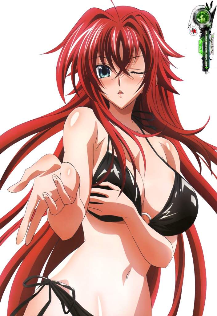 rias gremory in swimsuit