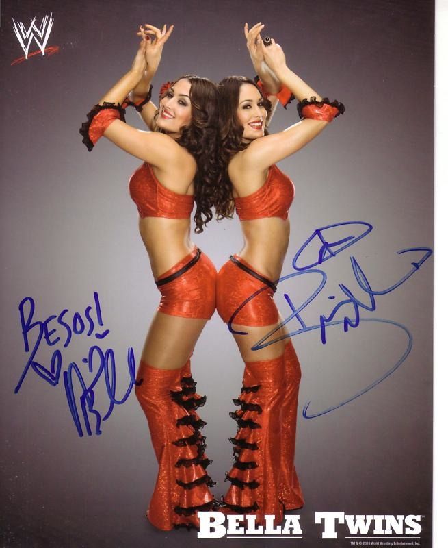 The Bella Twins Wiki Wrestling Amino