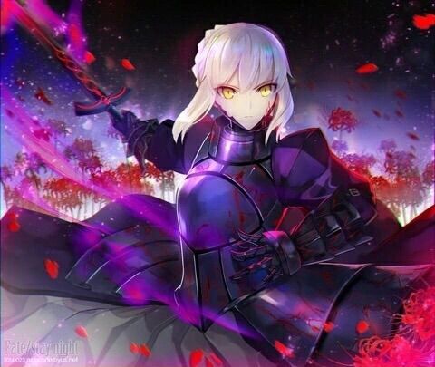 Saber | Wiki | Anime Amino