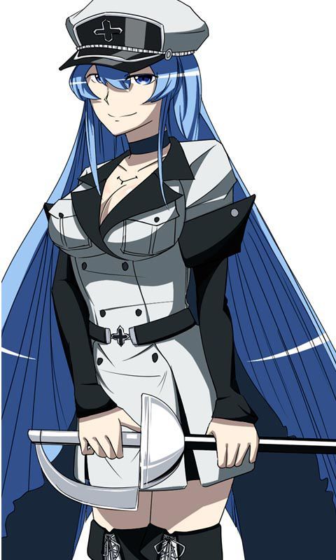 Akame ga kiru | Wiki | Anime Amino