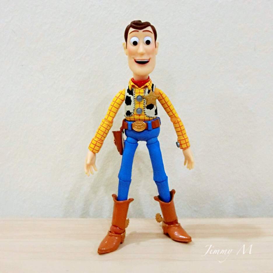 Sci-Fi Revoltech :Woody | Wiki | Toys Amino