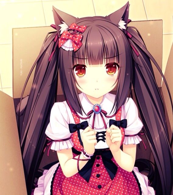 Nekopara | Anime Amino