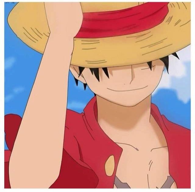 My Luffy - 1 | Anime Amino