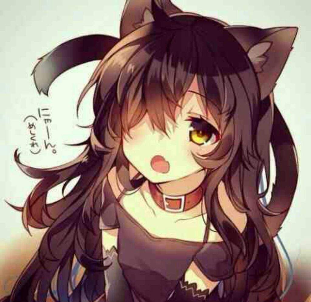 Nekos Wiki Anime Amino