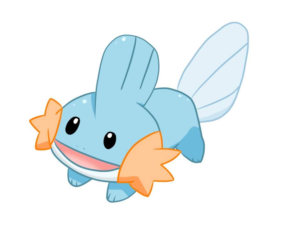 Mudkip! | Wiki | Pokémon Amino