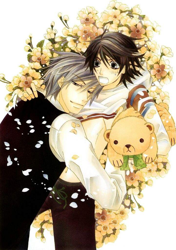 Junjou Romantica | Wiki | Anime Amino
