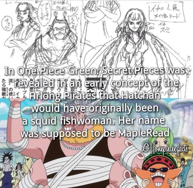 25 Facts Of One Piece Challenge Anime Amino