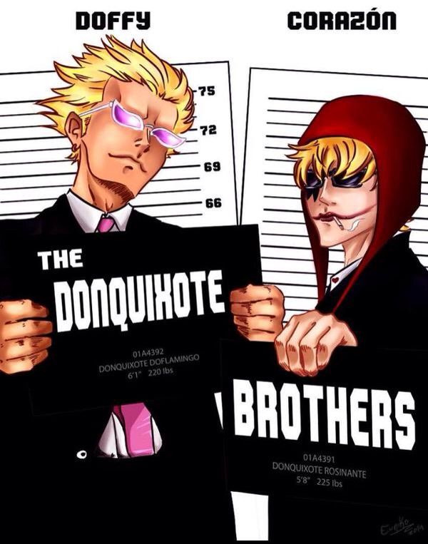 Donquixote Bros Wiki Anime Amino