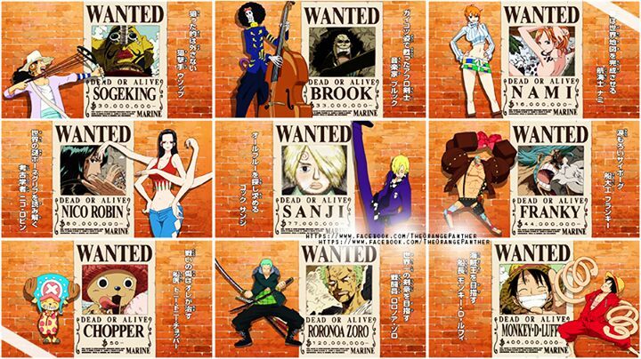 Straw Hat Pirates Bounty | Anime Amino