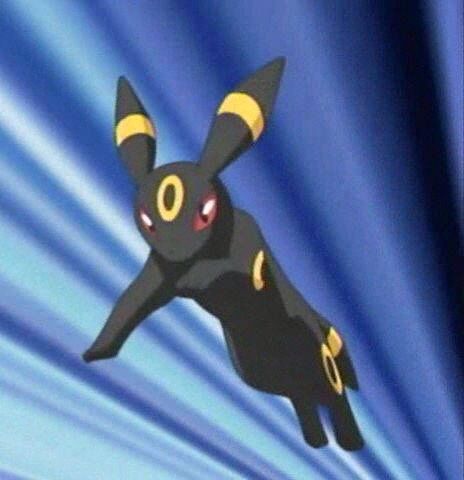 Absol And Umbreon | Wiki | Pokémon Amino