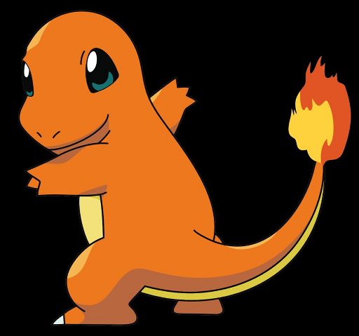 Charmander | Wiki | Pokémon Amino