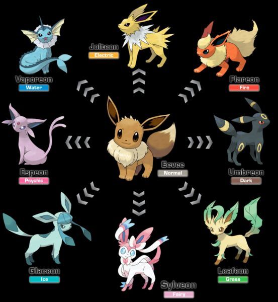 Alternate Eevee? | Pokémon Amino