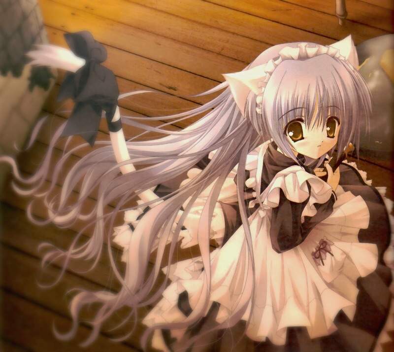Nekos Wiki Anime Amino