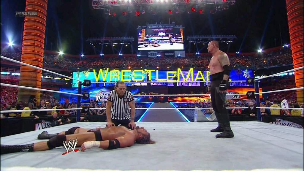 Wrestlemania 28 Undertaker Vs Triple H Full Match The Undertaker vs Triple H WM 28 2012 | Wiki | Wrestling Amino