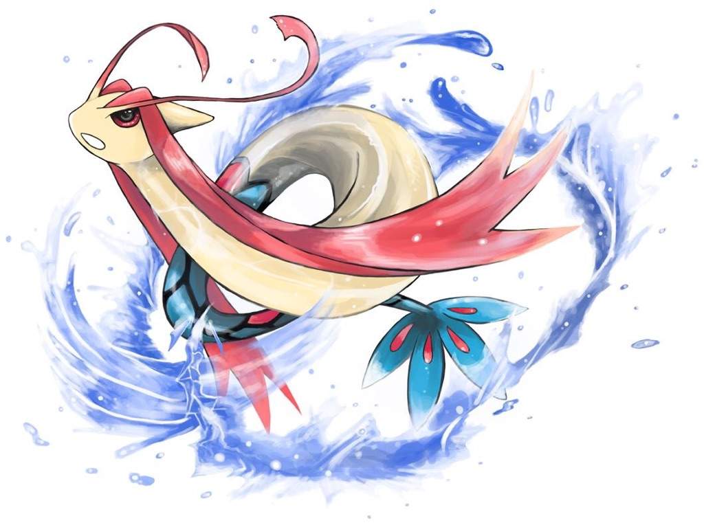 milotic shirt