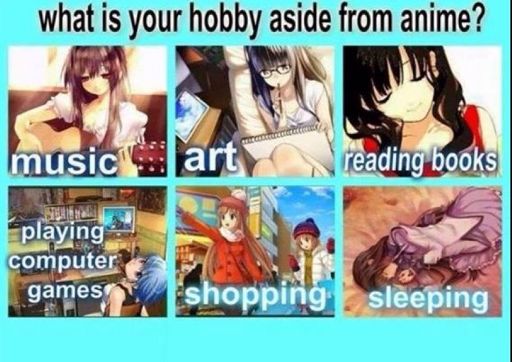 What Is Your Hobby? | Anime Amino